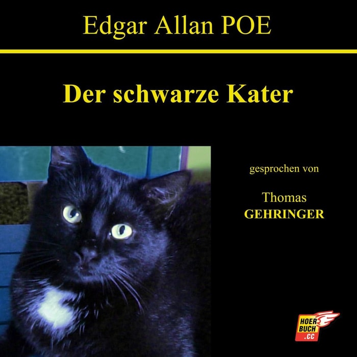 Der schwarze Kater