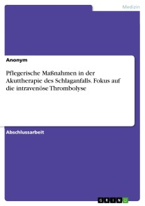 Pflegerische Maßnahmen in der Akuttherapie des Schlaganfalls. Fokus auf die intravenöse Thrombolyse