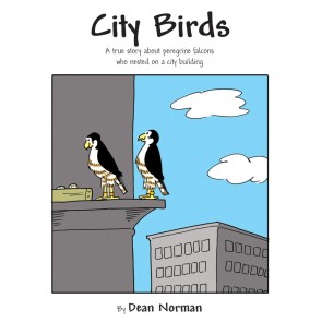 City Birds