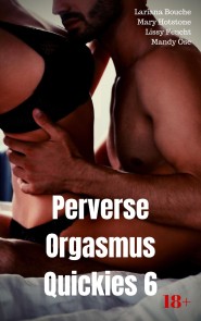 Perverse Orgasmus Quickies 6