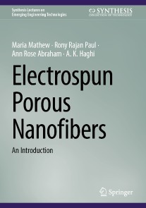 Electrospun Porous Nanofibers