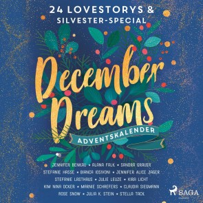 December Dreams. Ein Adventskalender - 24 Lovestorys plus Silvester-Special