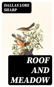 Roof and Meadow