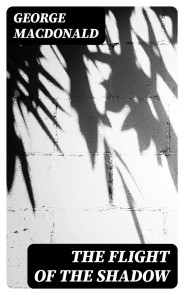 The Flight of the Shadow