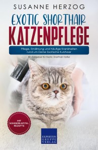 Exotic Shorthair Katzenpflege - Pflege, Ernährung und häufige Krankheiten rund um Deine Exotische Kurzhaar