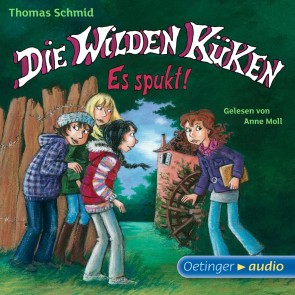 Die Wilden Küken 4. Es spukt!