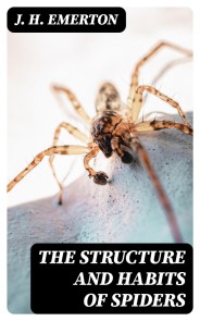 The Structure and Habits of Spiders