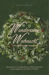 Wundersame Weihnacht - Die geheimnisvolle Begegnung: Geschichten und Märchen zur Weihnachtszeit
