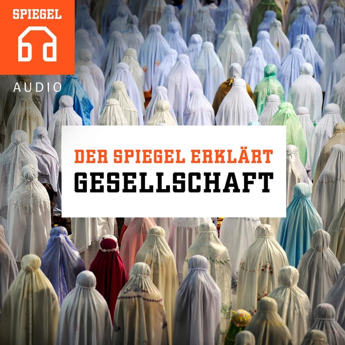 DER SPIEGEL ERKLÄRT: Gesellschaft