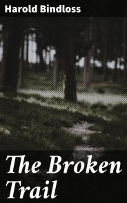 The Broken Trail