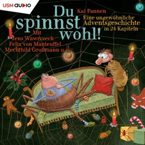 Eine außergewöhnliche Adventsgeschichte in 24 Kapiteln