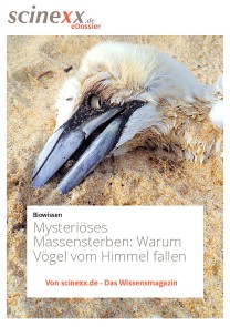 Mysteriöse Massensterben