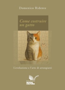 Come costruire un gatto