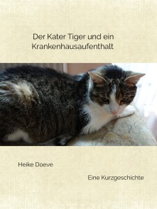 Der Kater Tiger und ein Krankenhausaufenthalt