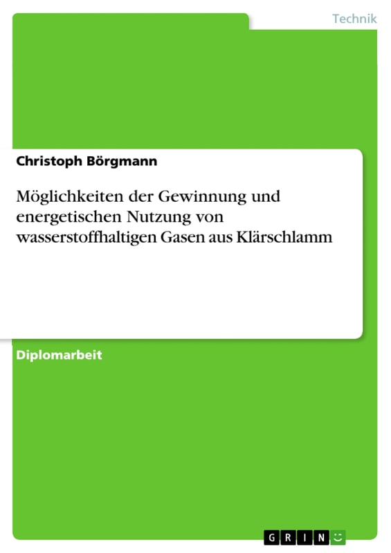 Möglichkeiten der Gewinnung und energetischen Nutzung von wasserstoffhaltigen Gasen aus Klärschlamm
