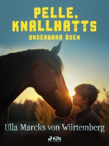 Pelle Knallhatts underbara öden