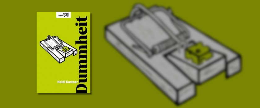 Heidi Kastner - Dummheit