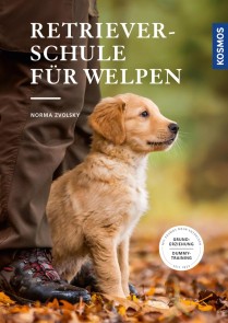 Retrieverschule für Welpen