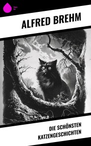 Die schönsten Katzengeschichten
