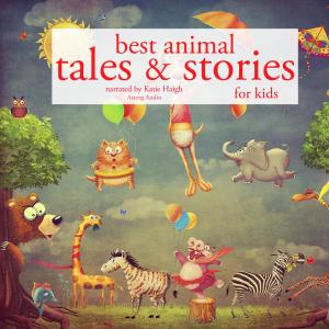 Best animal tales and stories photo №1