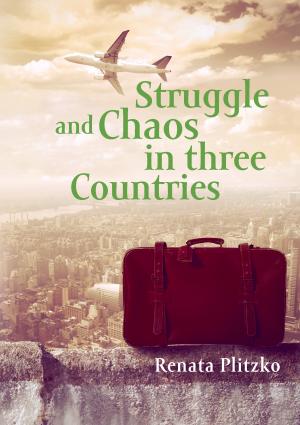 Struggle and Chaos in three Countries photo №1