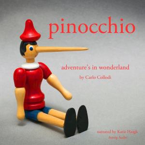 Pinocchio's Adventures in Wonderland photo №1