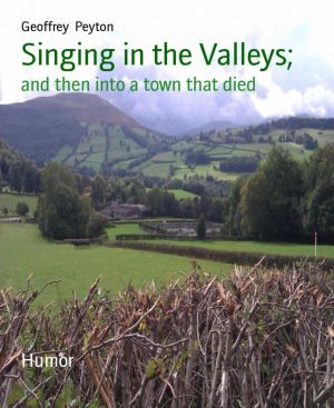 Singing in the Valleys; photo №1