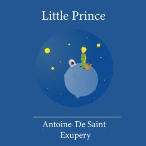 The Little Prince photo №1