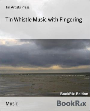 Tin Whistle Music with Fingering photo №1