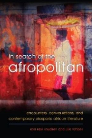 In Search of the Afropolitan photo №1