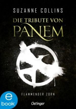 Die Tribute von Panem 3. Flammender Zorn Foto №1