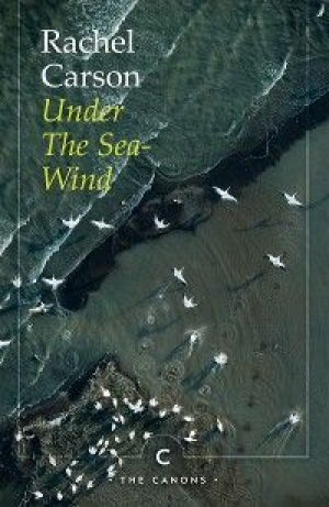 Under the Sea-Wind photo №1