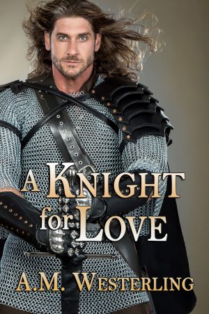 A Knight For Love photo №1
