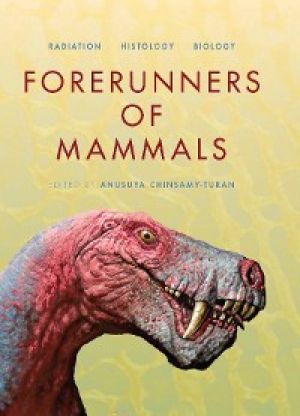 Forerunners of Mammals photo №1