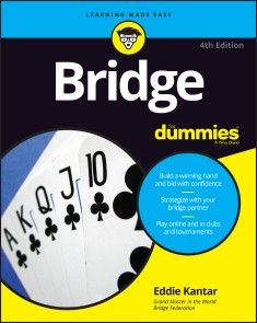 Bridge For Dummies photo №1