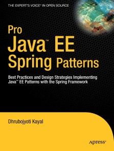 Pro Java  EE Spring Patterns photo №1