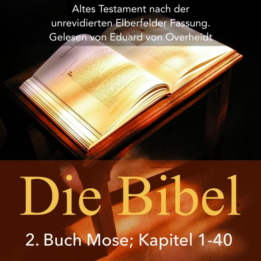 Die Bibel: 2. Buch Mose (Altes Testament) Foto 2