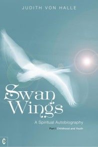 Swan Wings photo №1