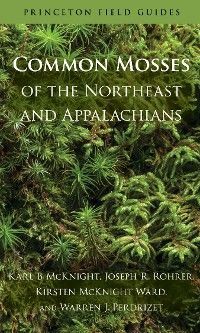 Common Mosses of the Northeast and Appalachians photo №1