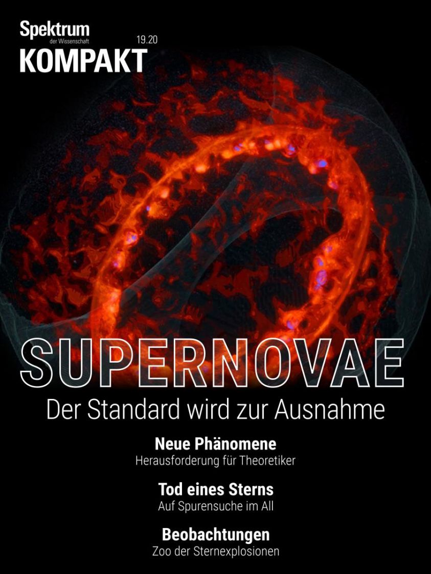 Spektrum Kompakt - Supernovae Foto №1