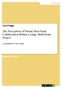 The Perception of Virtual, Inter-Team Collaboration Within a Large, Multi-Team Project photo №1