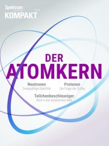 Spektrum Kompakt - Der Atomkern Foto №1