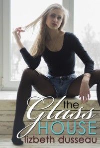 The Glass House photo №1