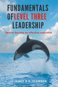 Fundamentals of Level Three Leadership photo №1