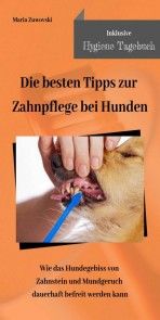 Die besten Tipps zur Zahnpflege bei Hunden Foto №1