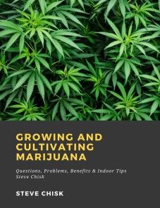 Growing and Cultivating Marijuana: Questions, Problems, Benefits & Indoor Tips photo №1