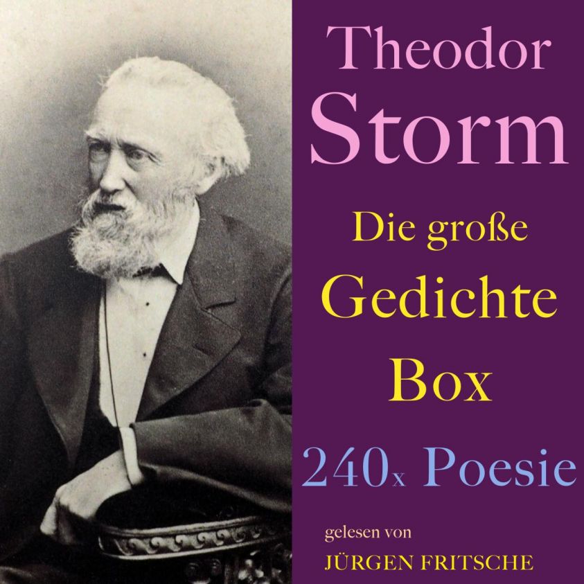 Theodor Storm: Die große Gedichte Box Foto 2