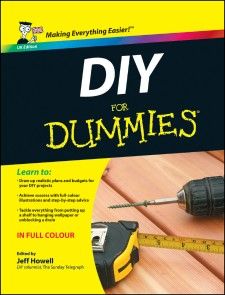 DIY For Dummies photo №1