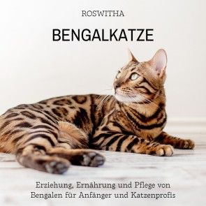 Bengalkatze Foto 1