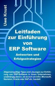 Leitfaden zur Einführung von ERP Software - Antworten und Erfolgsstrategien Foto №1
